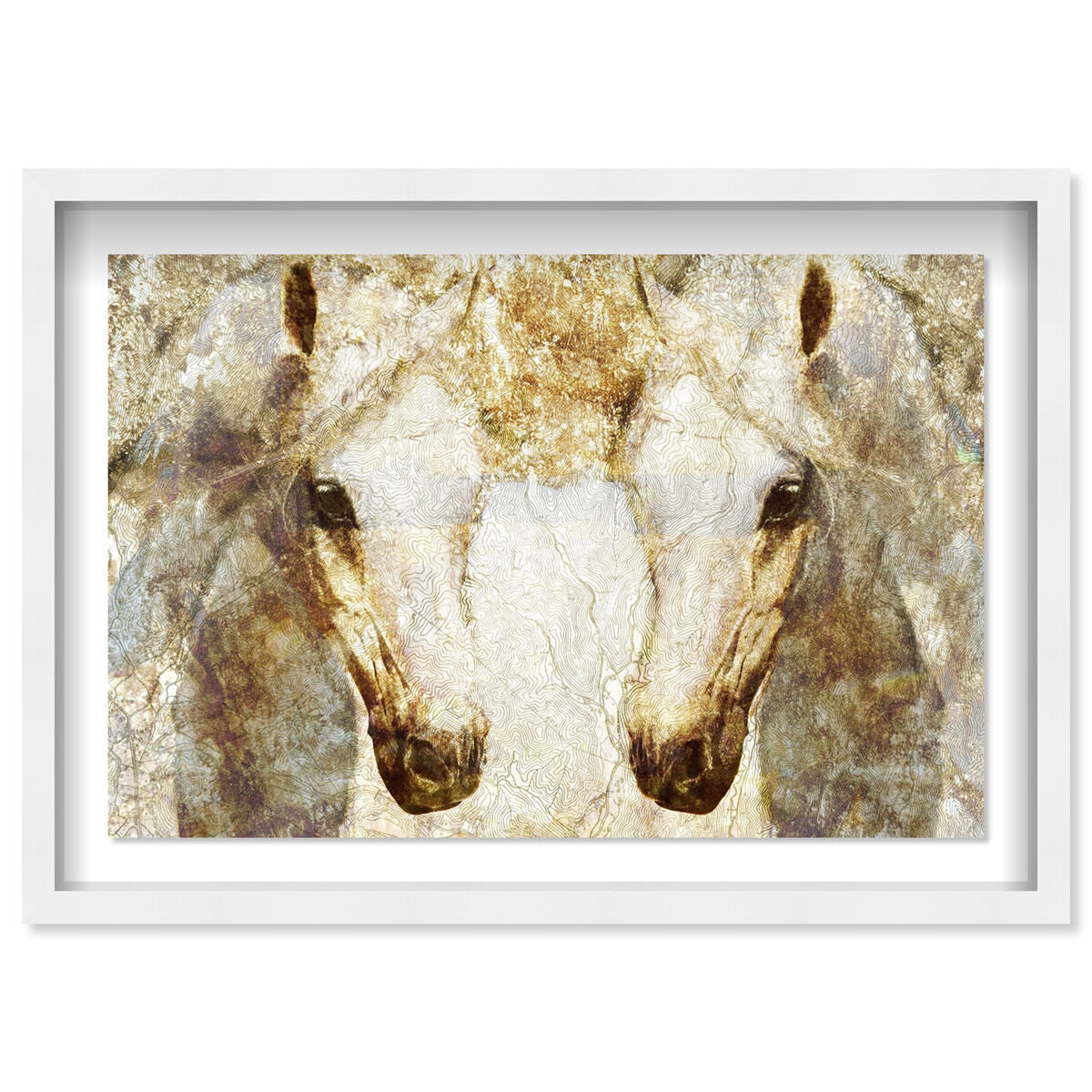 Gold Stallions