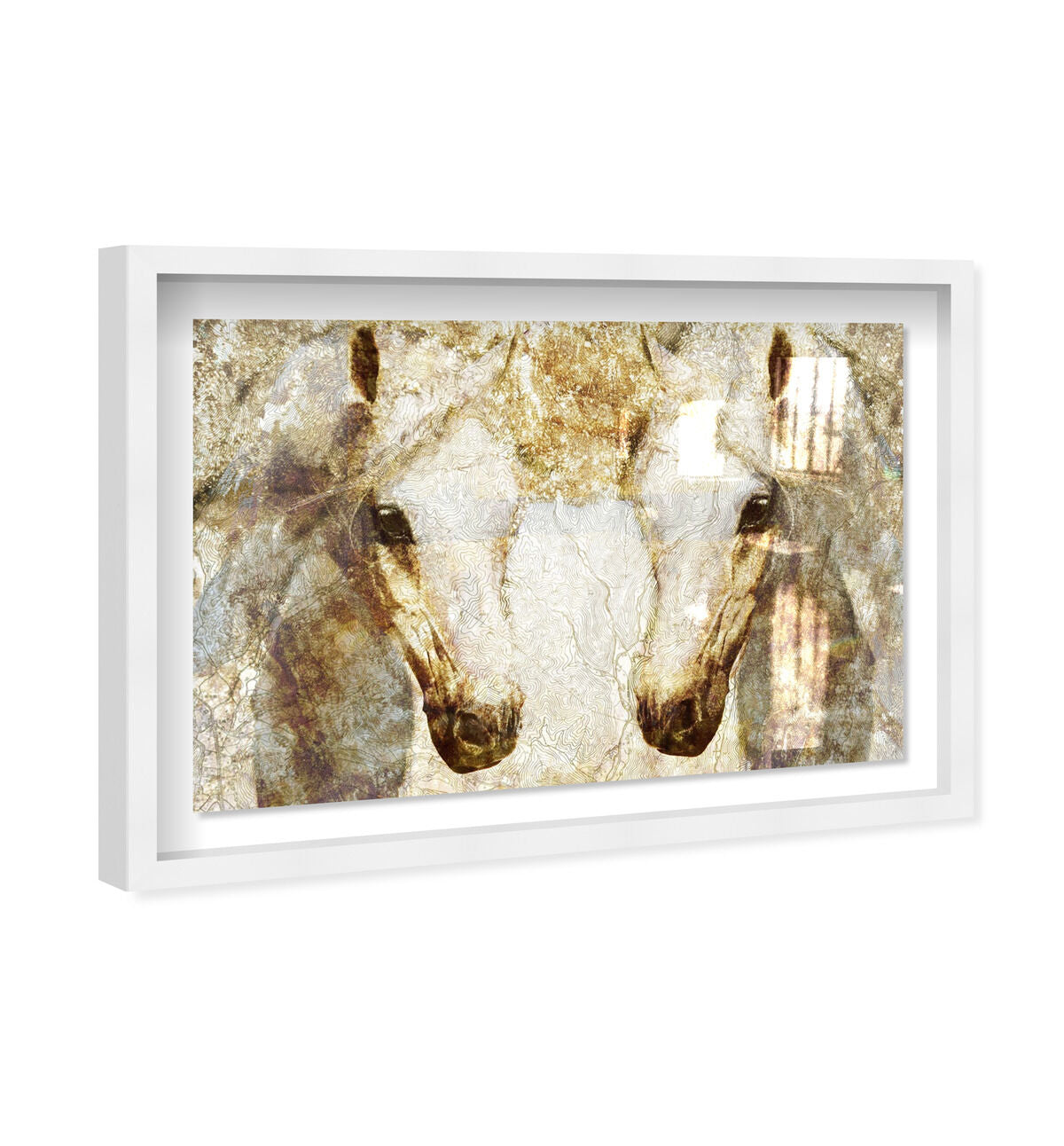 54x36/Shadowbox/SBW