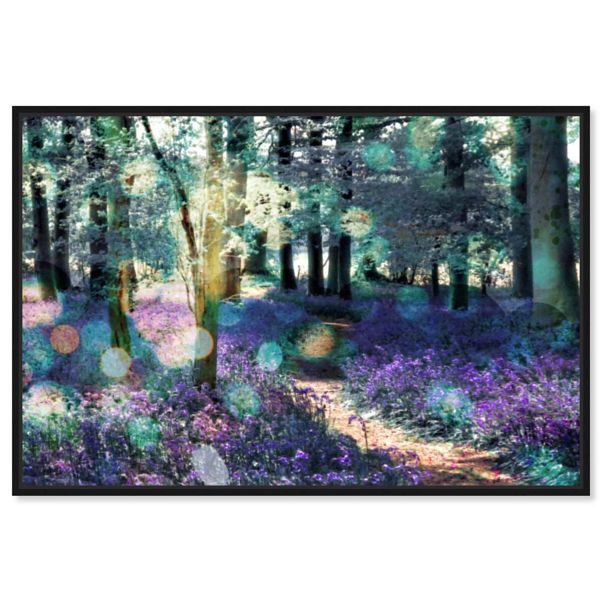 Lavender Morning