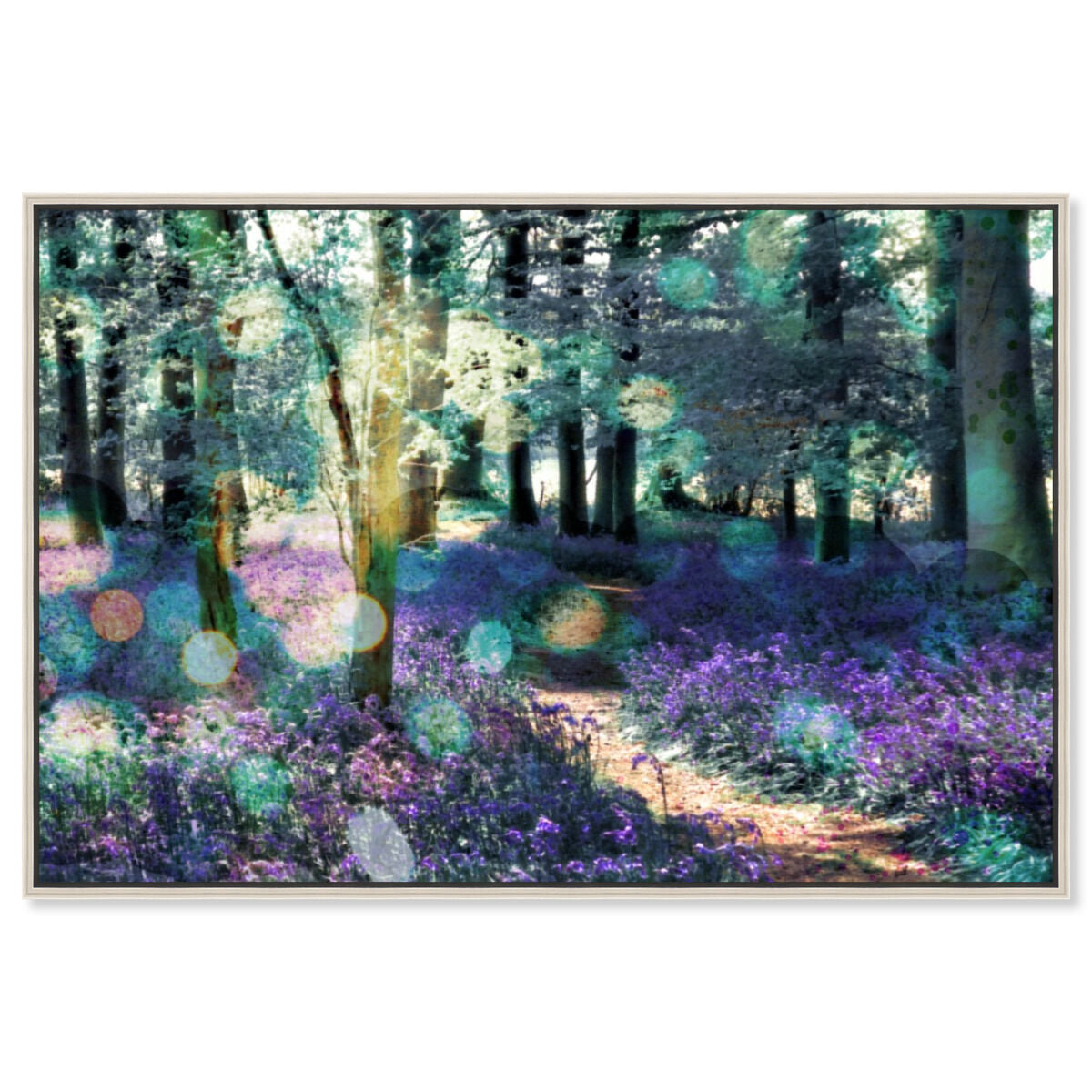 Lavender Morning