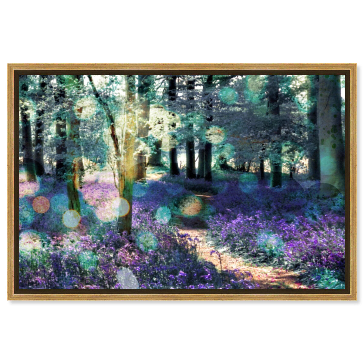 Lavender Morning