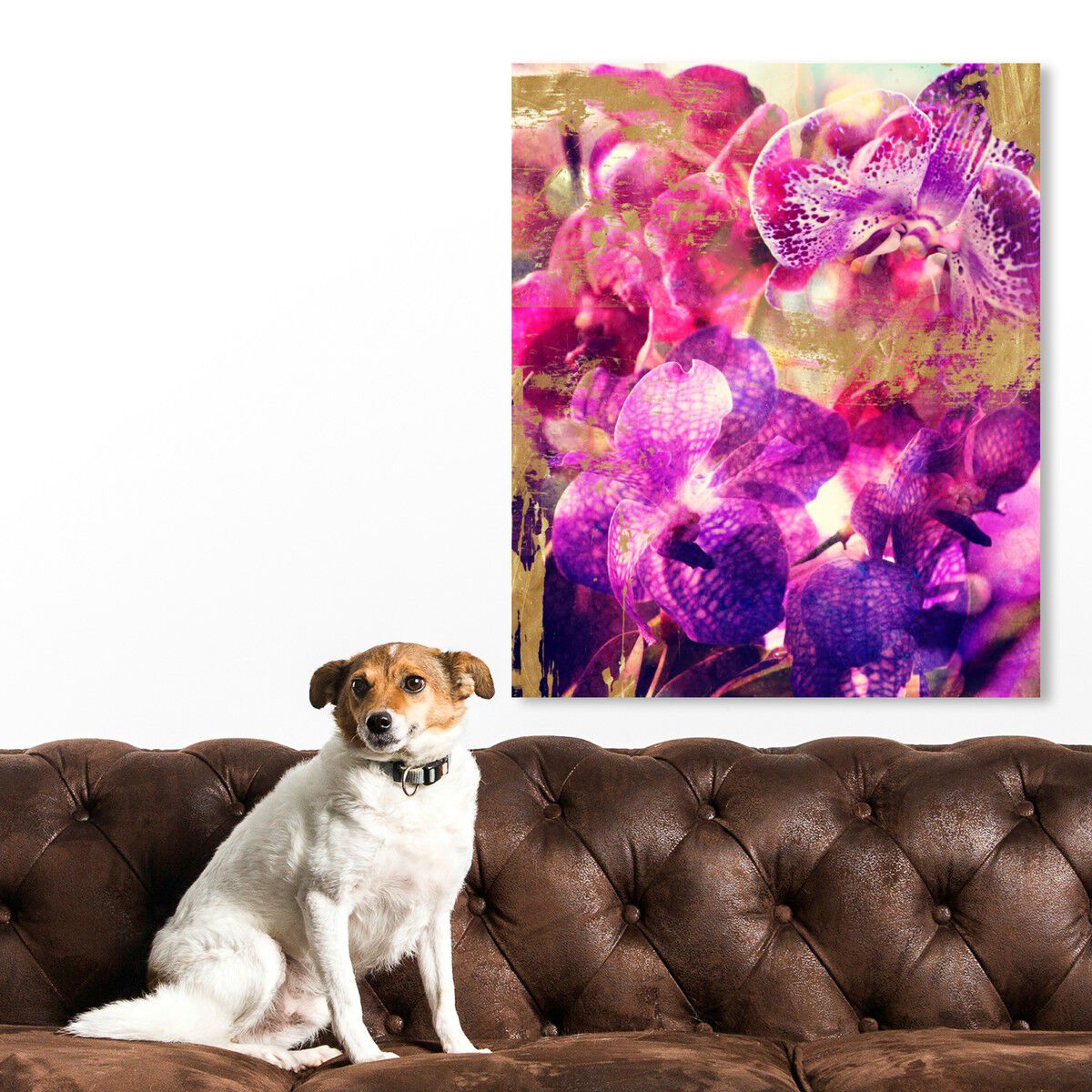 36x45/Canvas/XHD
