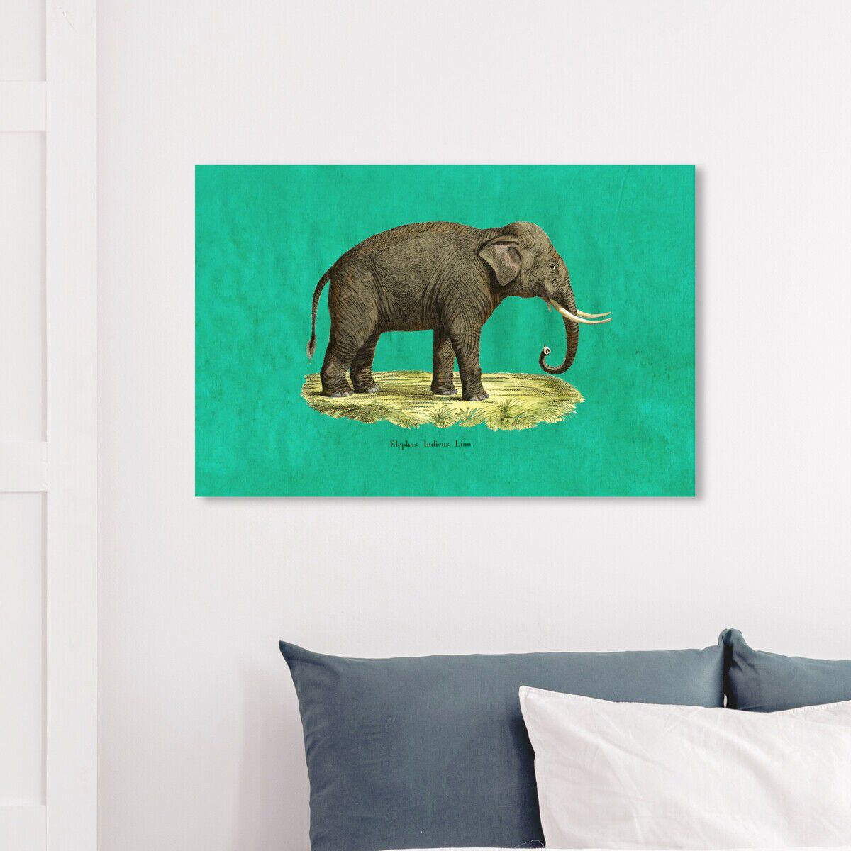 Elephant I