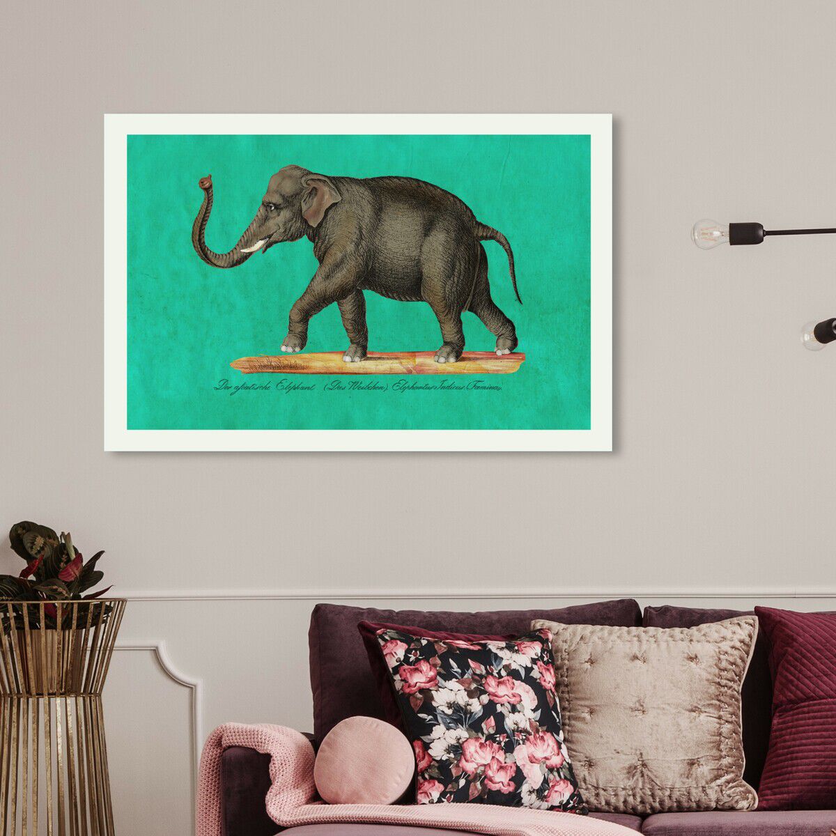 Elephant II