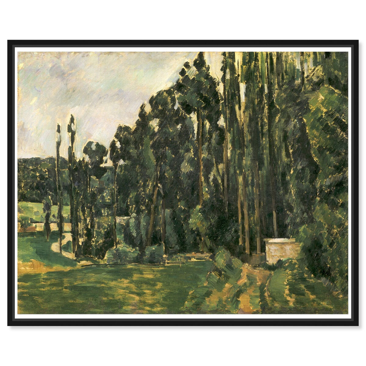 Paul Cezanne - Poplars