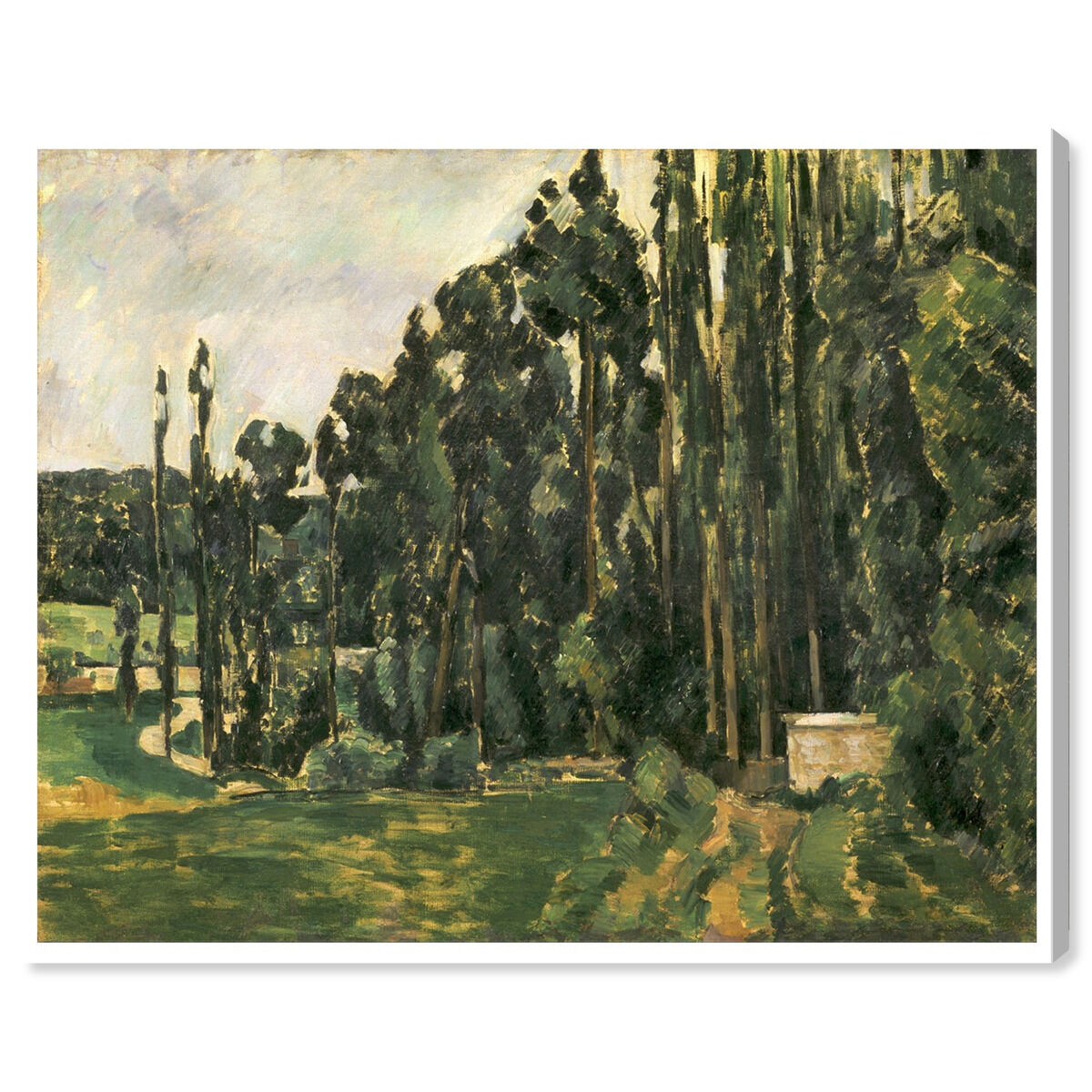 Paul Cezanne - Poplars