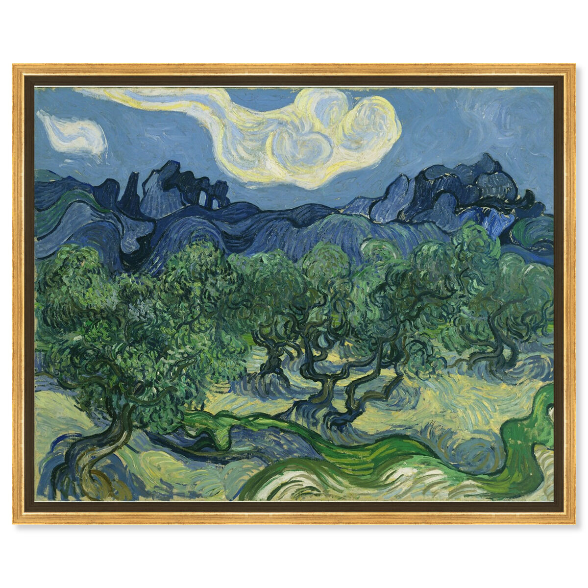 Van Gogh - The Olive Trees