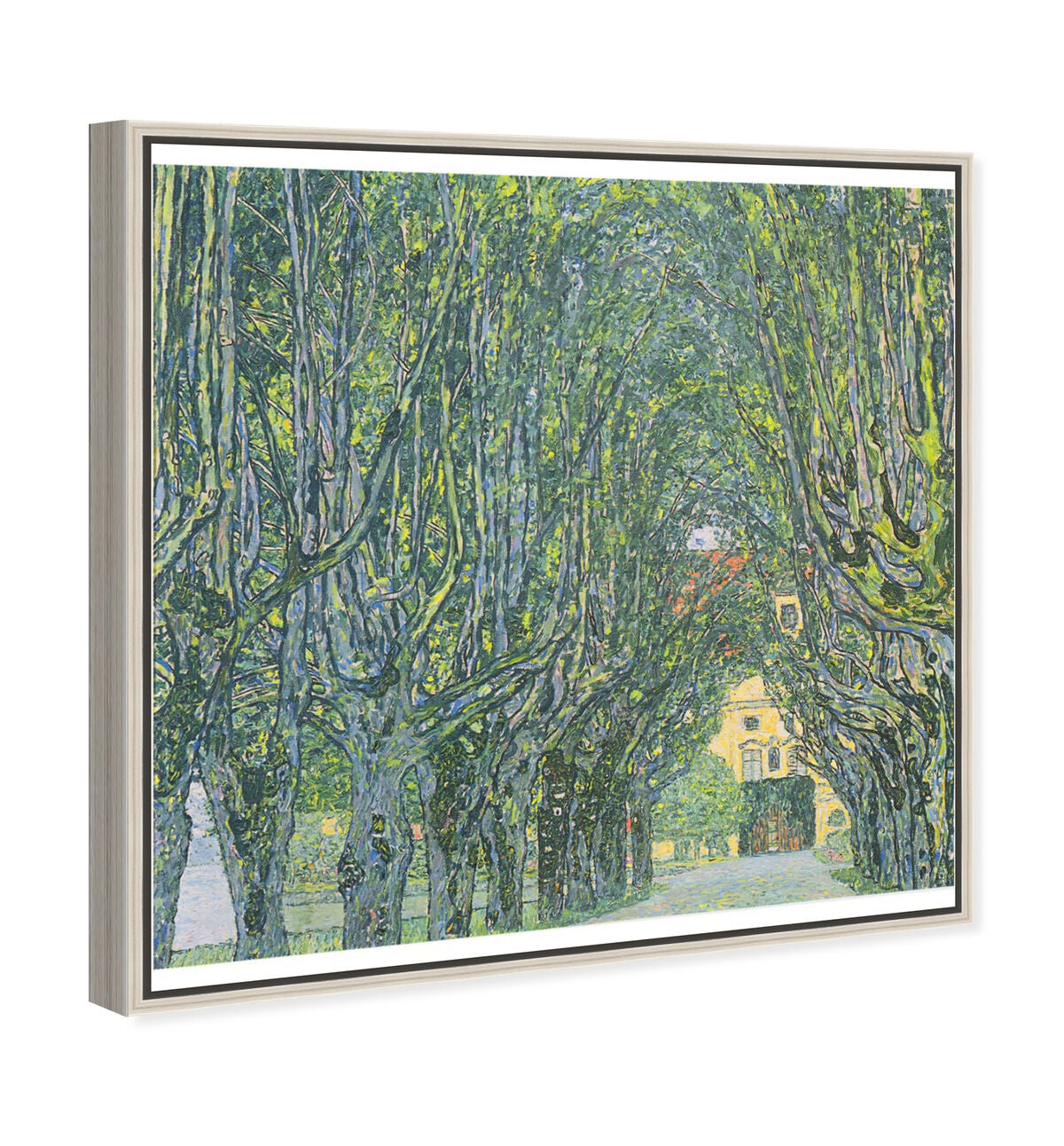 40x40/Framed Canvas/CFL
