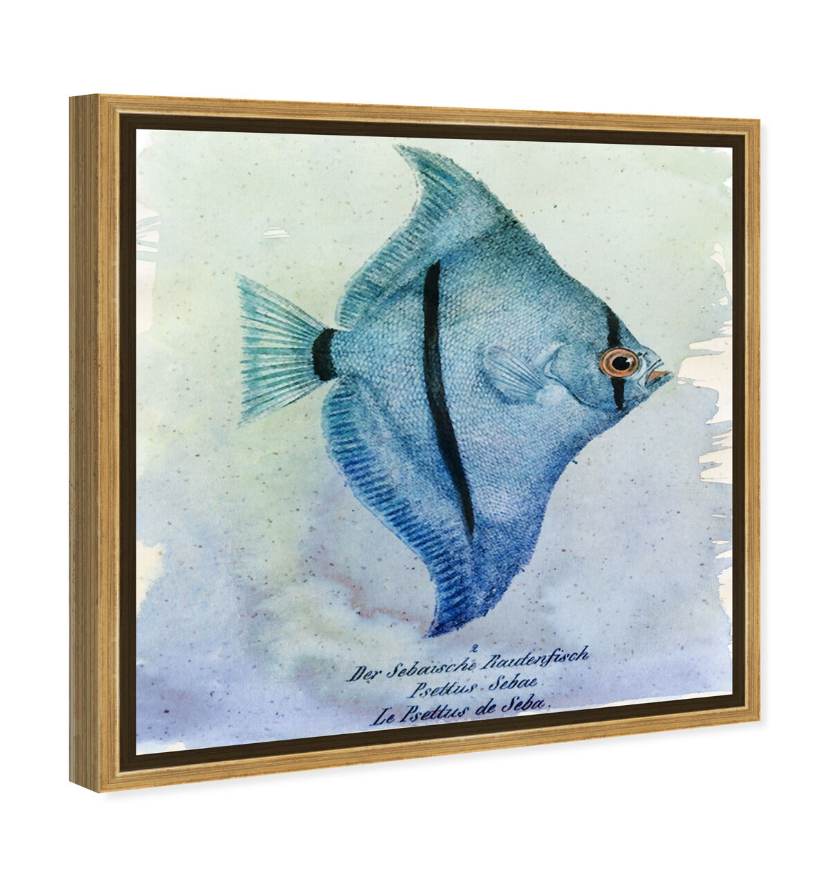 40x40/Framed Canvas/PSGLD