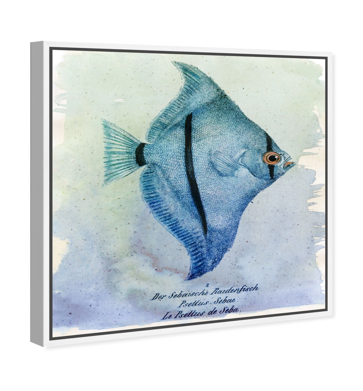 40x40/Framed Canvas/WFL
