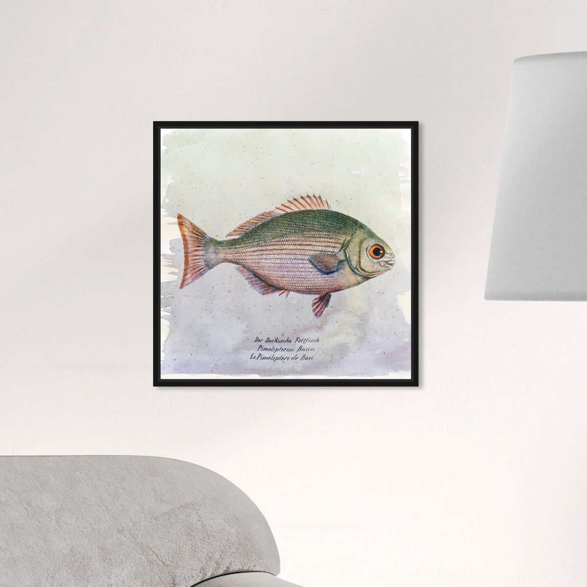 40x40/Framed Canvas/BFL