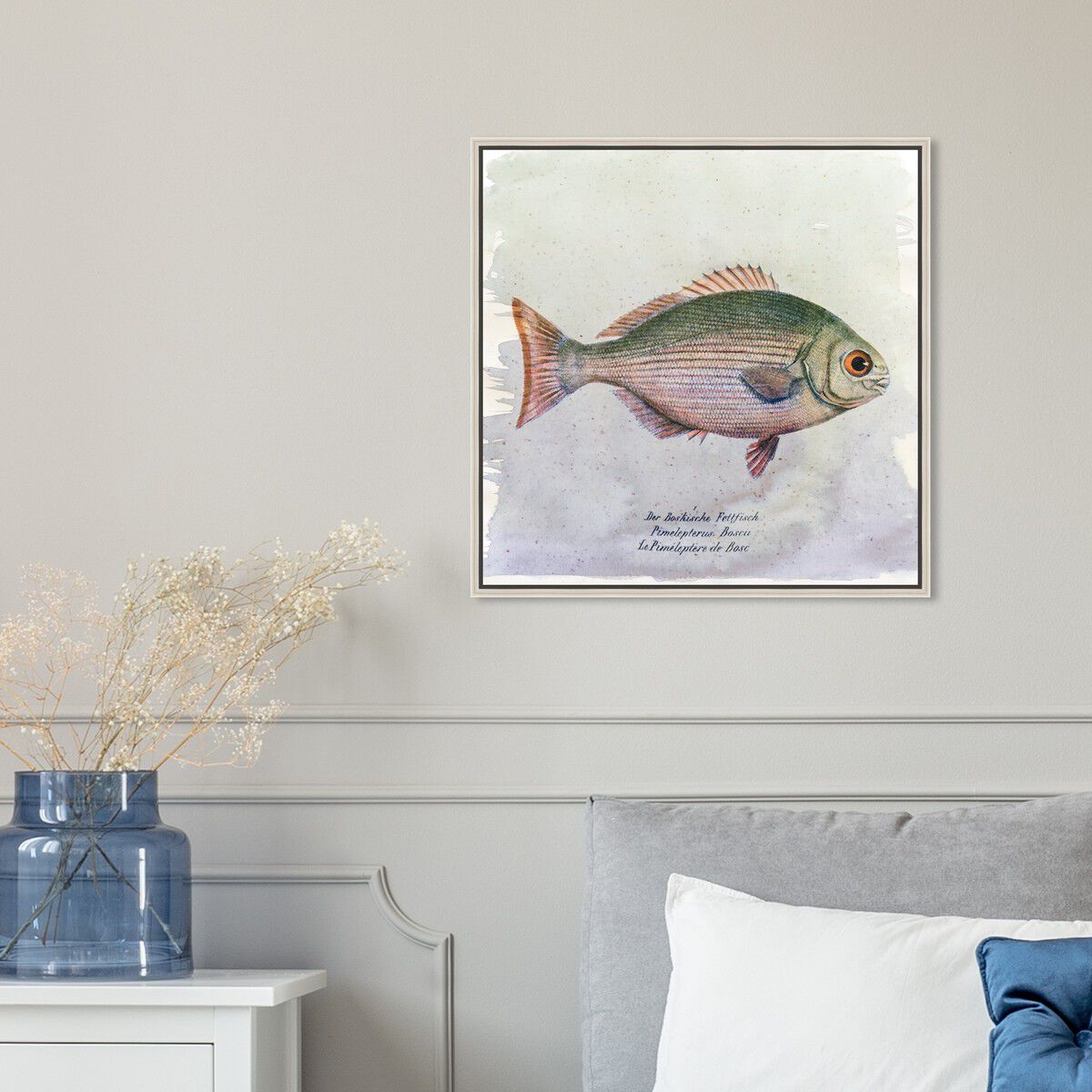 40x40/Framed Canvas/CFL