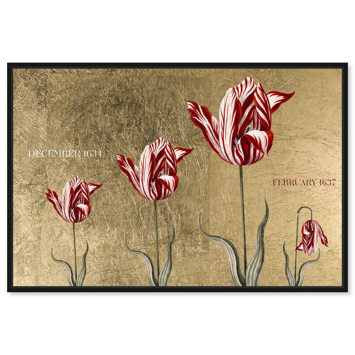 Tulipomania