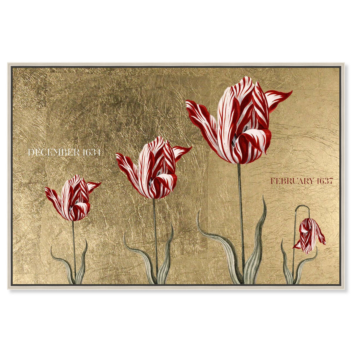 Tulipomania
