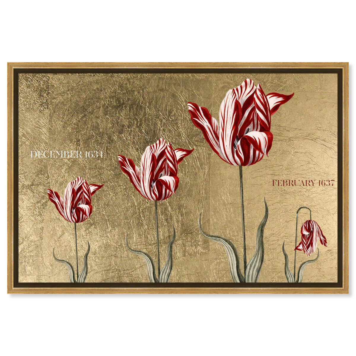 Tulipomania