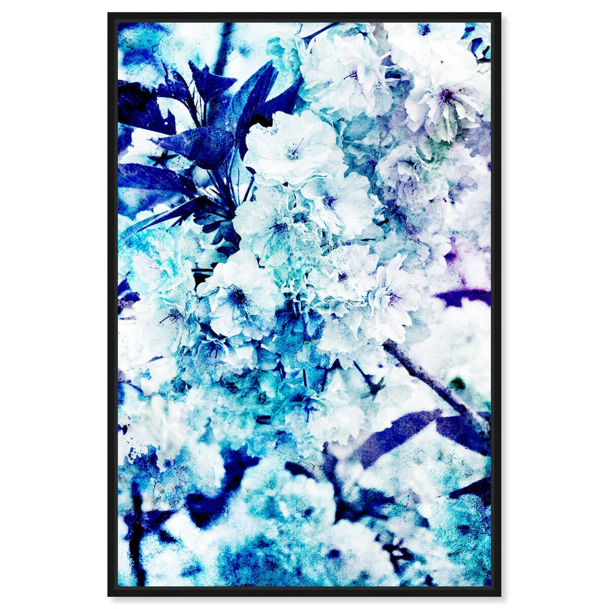 Blossoming Kalesi