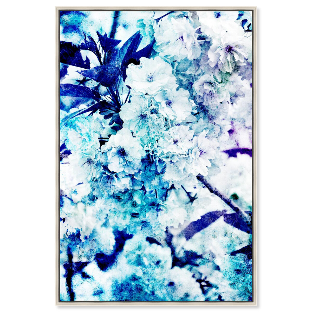 Blossoming Kalesi
