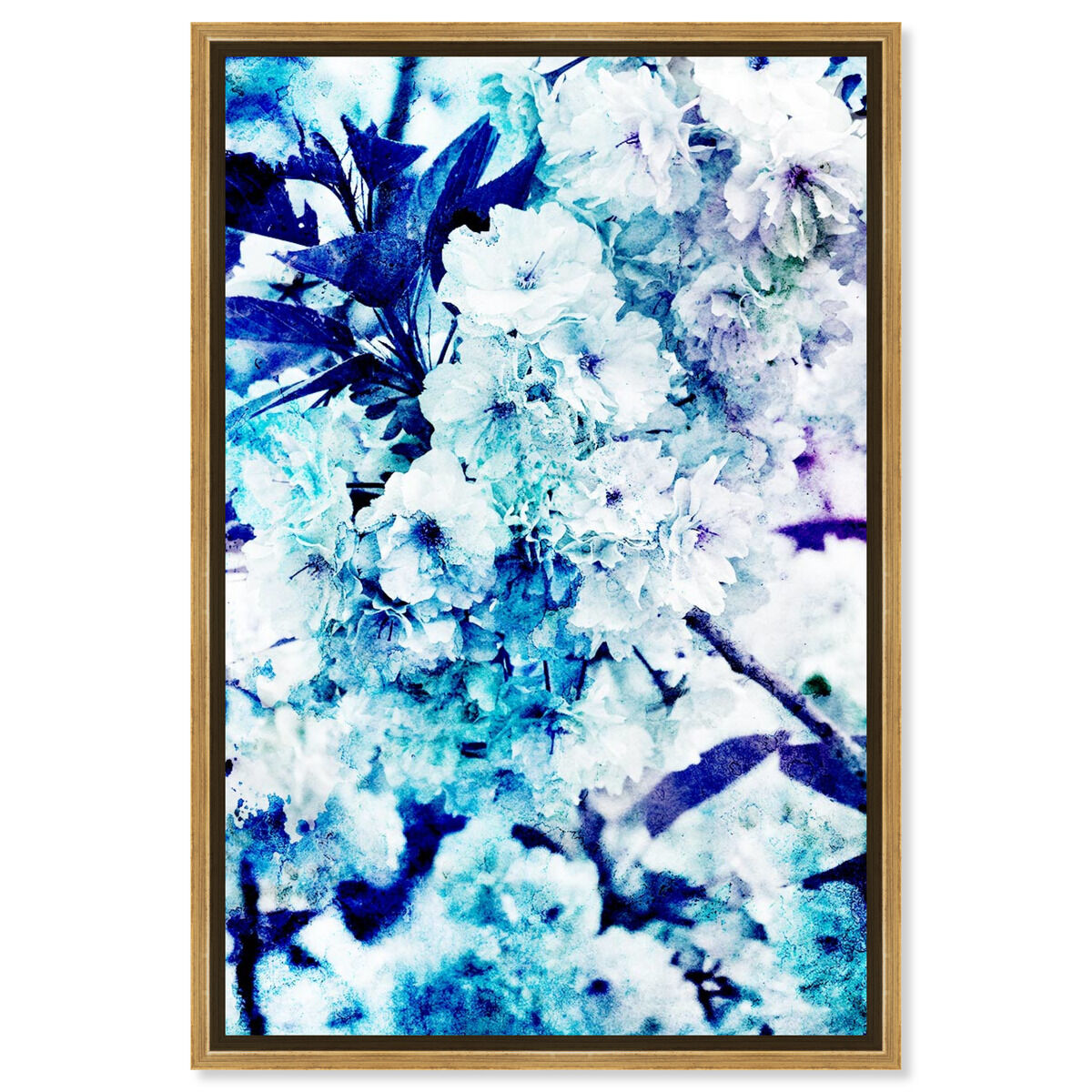 Blossoming Kalesi