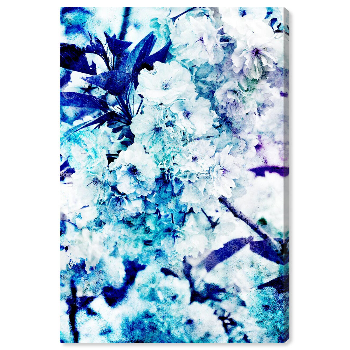 Blossoming Kalesi
