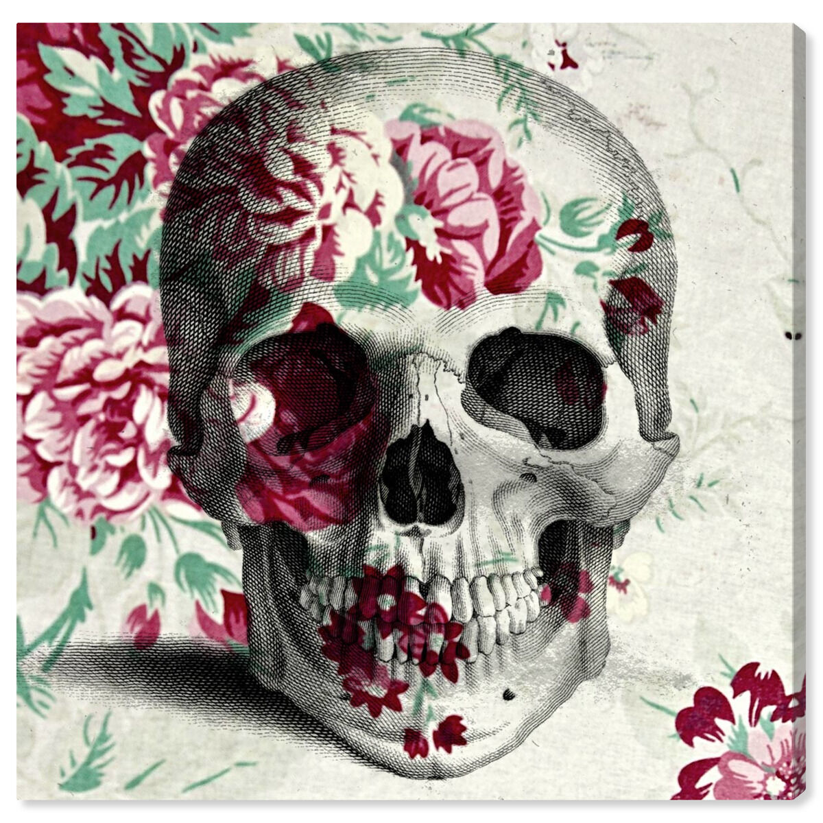 Spring Skull
