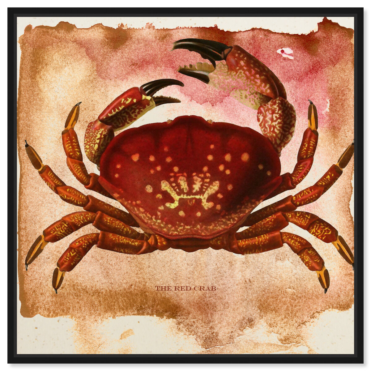 The Red Crab II
