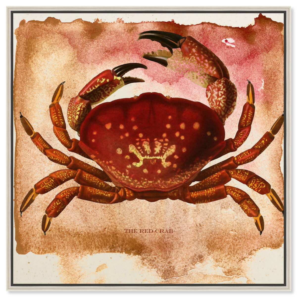 The Red Crab II