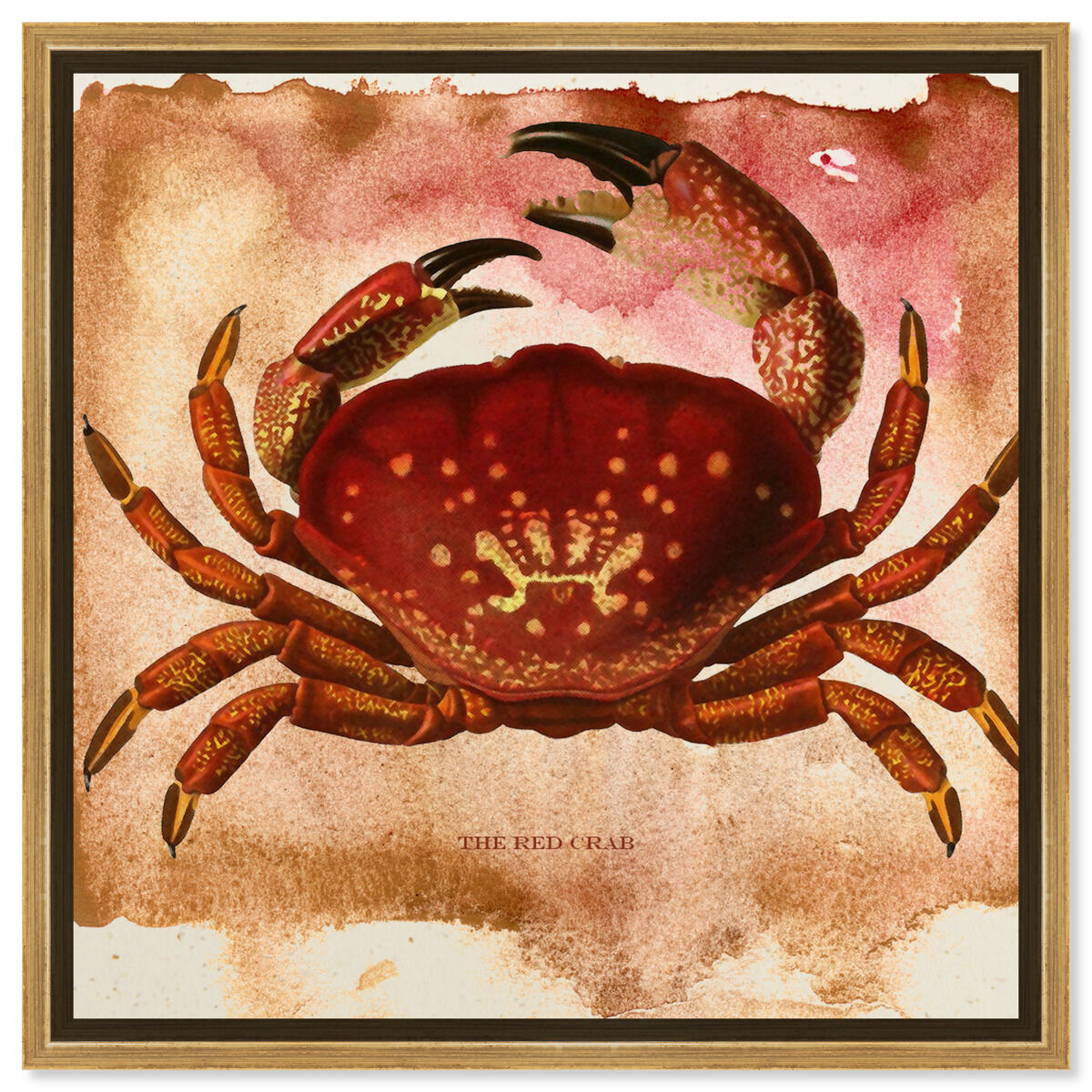 The Red Crab II