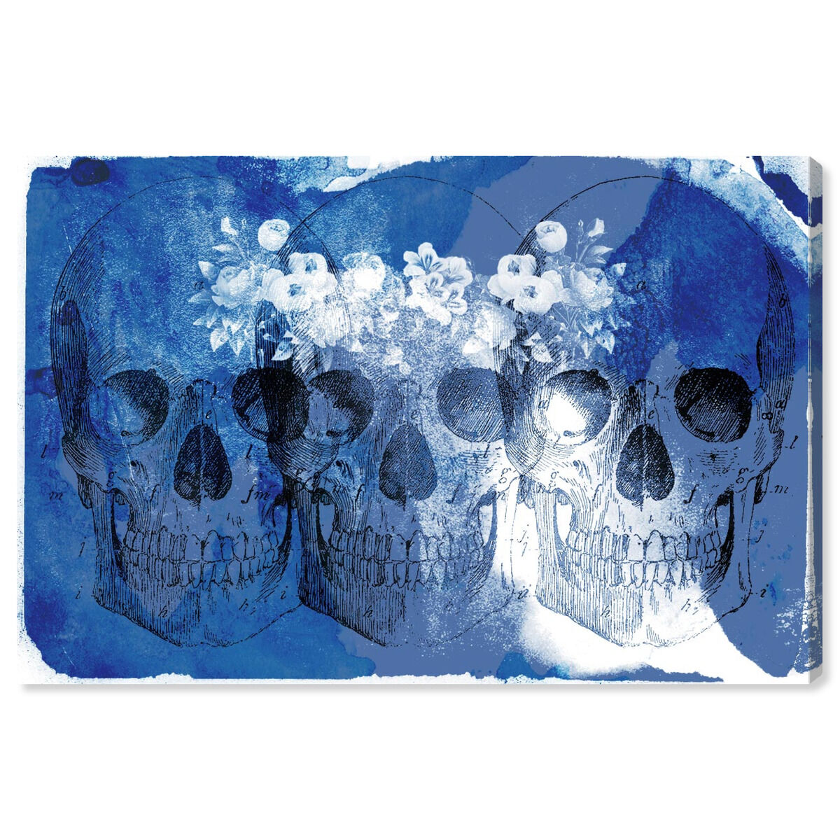 Blue Blossom