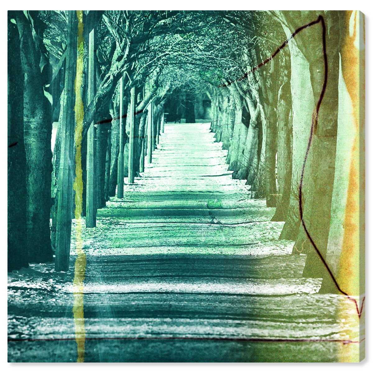 Secret Path