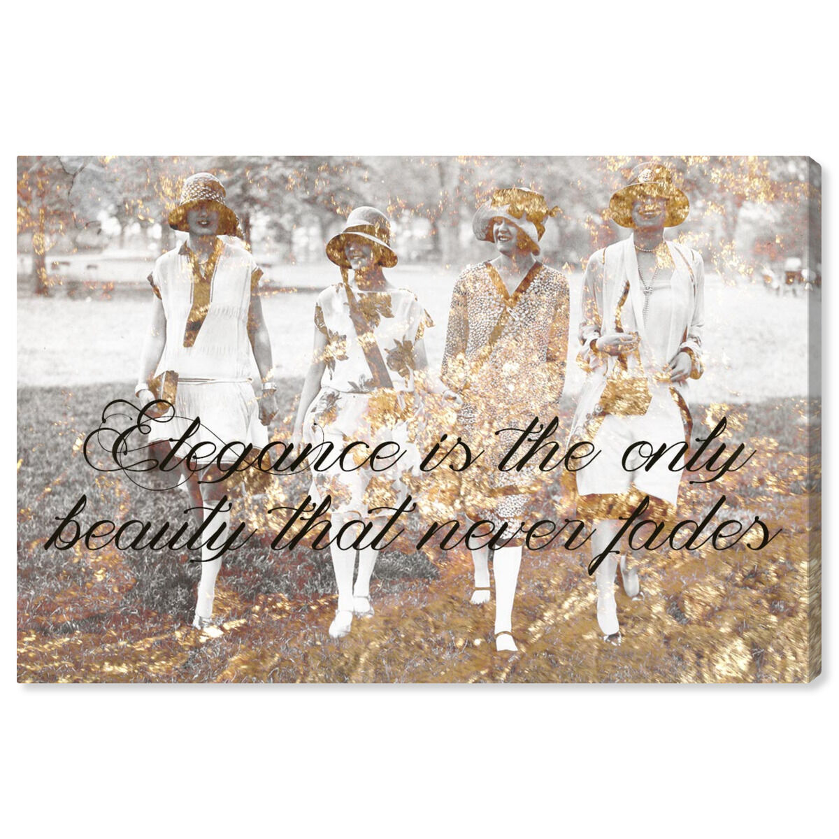Elegance Never Fades