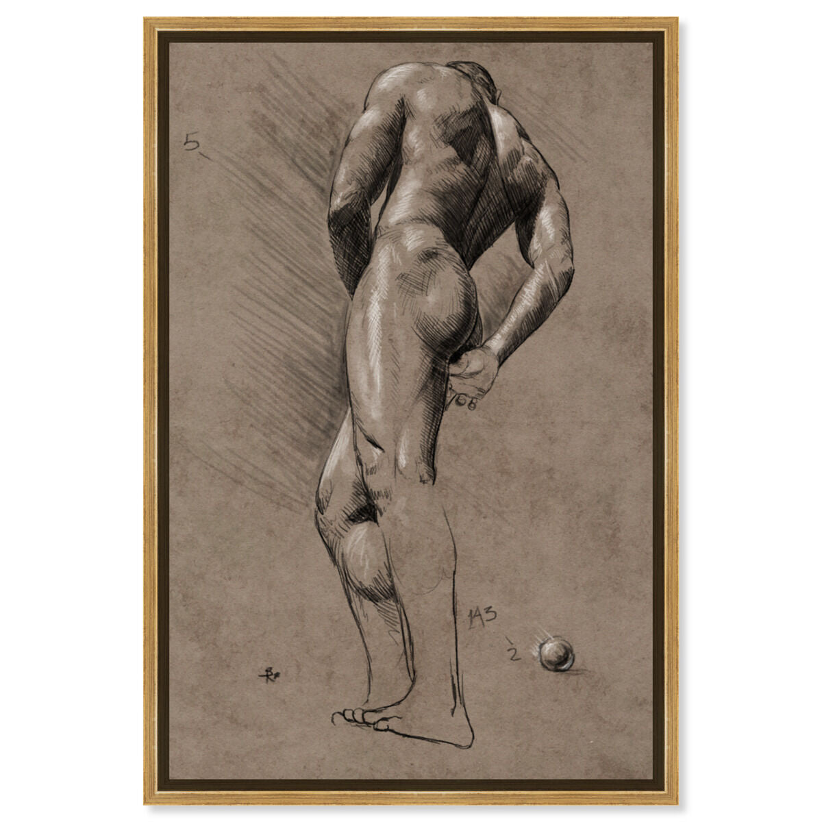 Male Figure Study