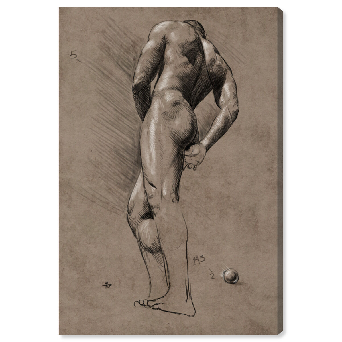 Male Figure Study