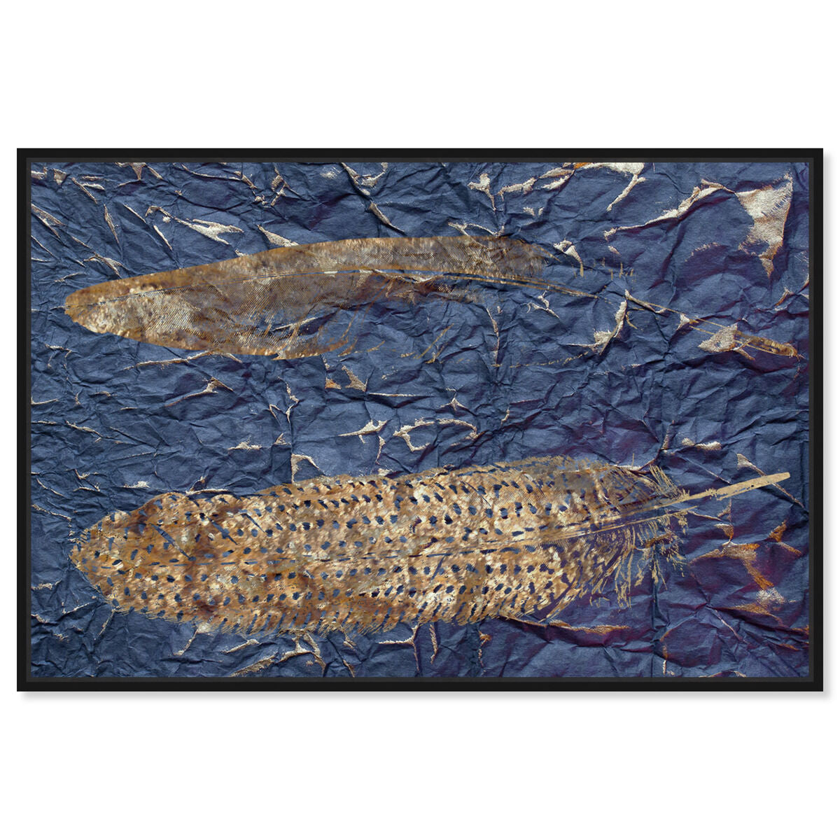 Guinea Blue - Signature Collection