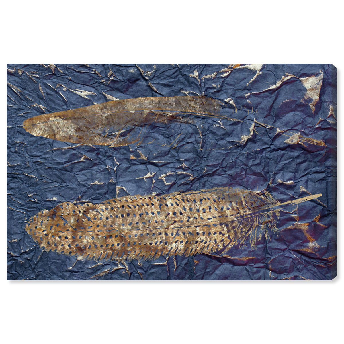 Guinea Blue - Signature Collection