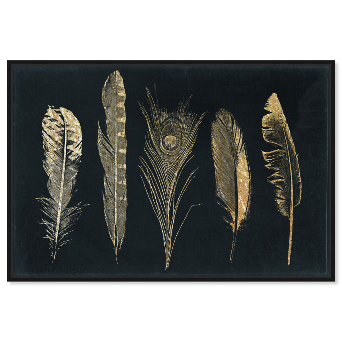 Corinthian Feathers - Signature Collection