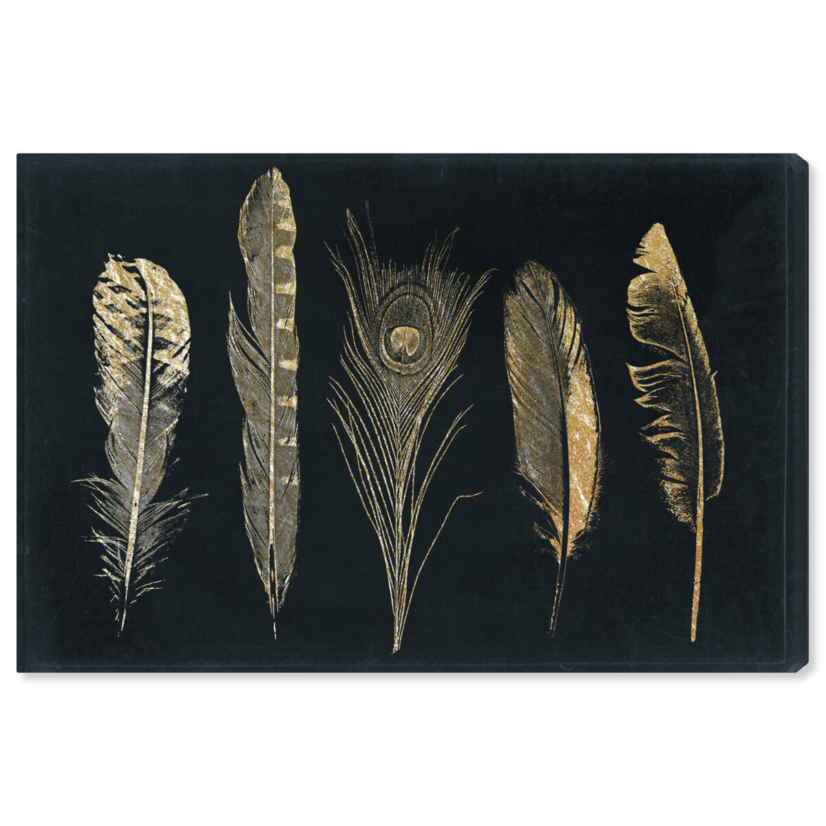 Corinthian Feathers - Signature Collection