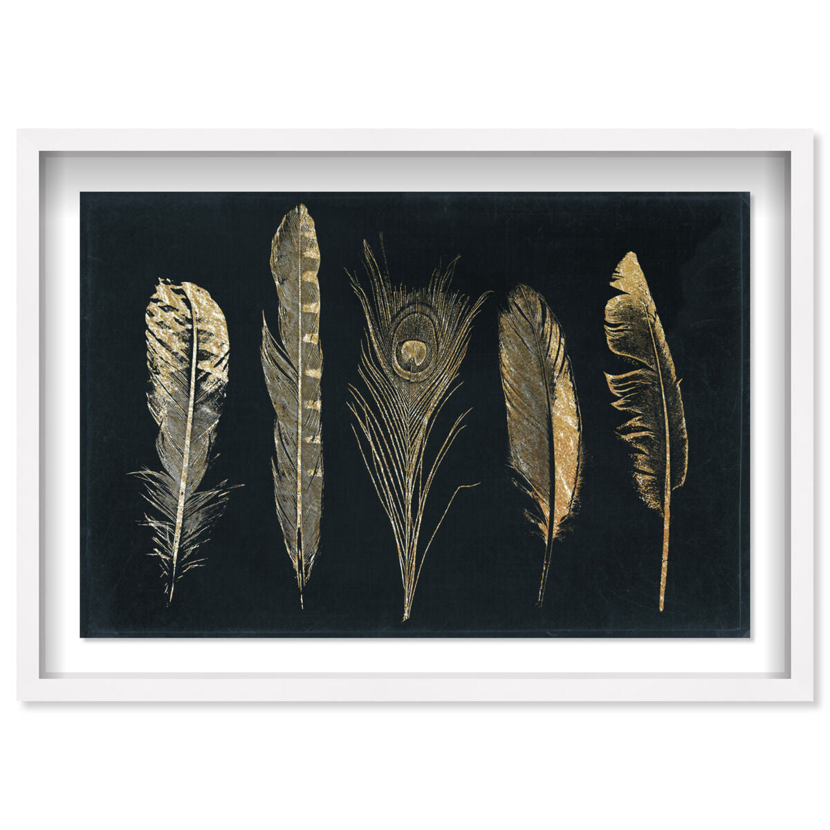 54x36/Shadowbox/SBW