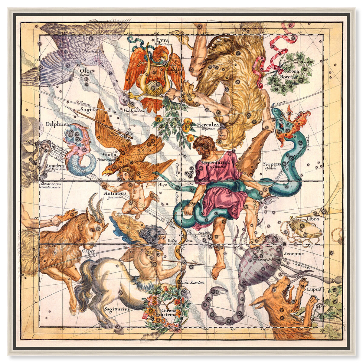 Sagittarius and Scorpius