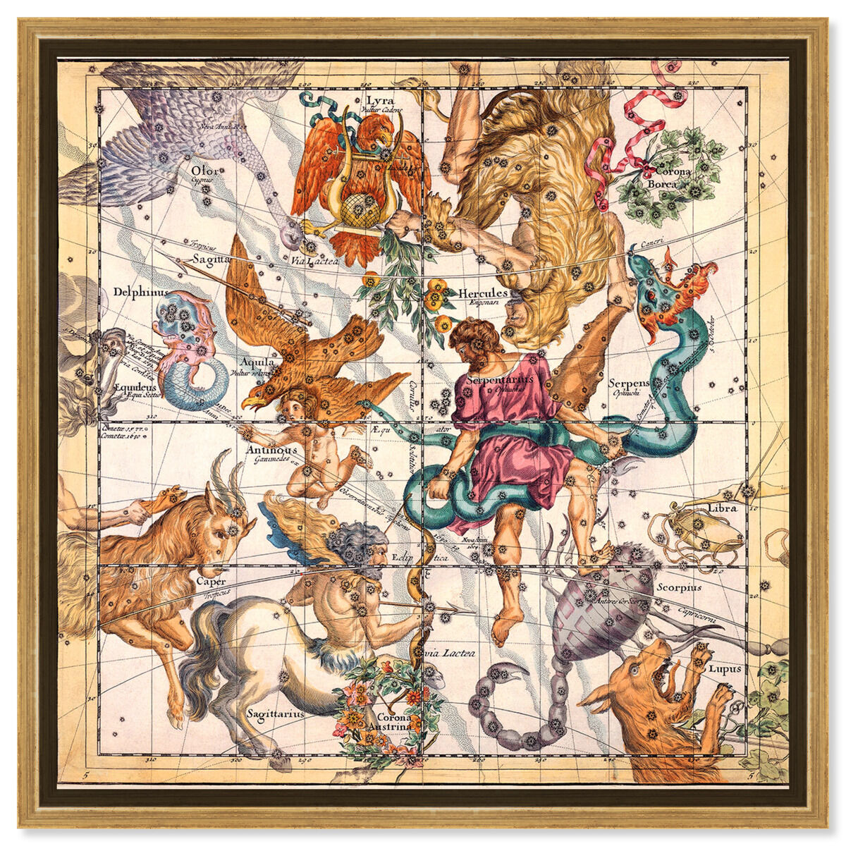 Sagittarius and Scorpius