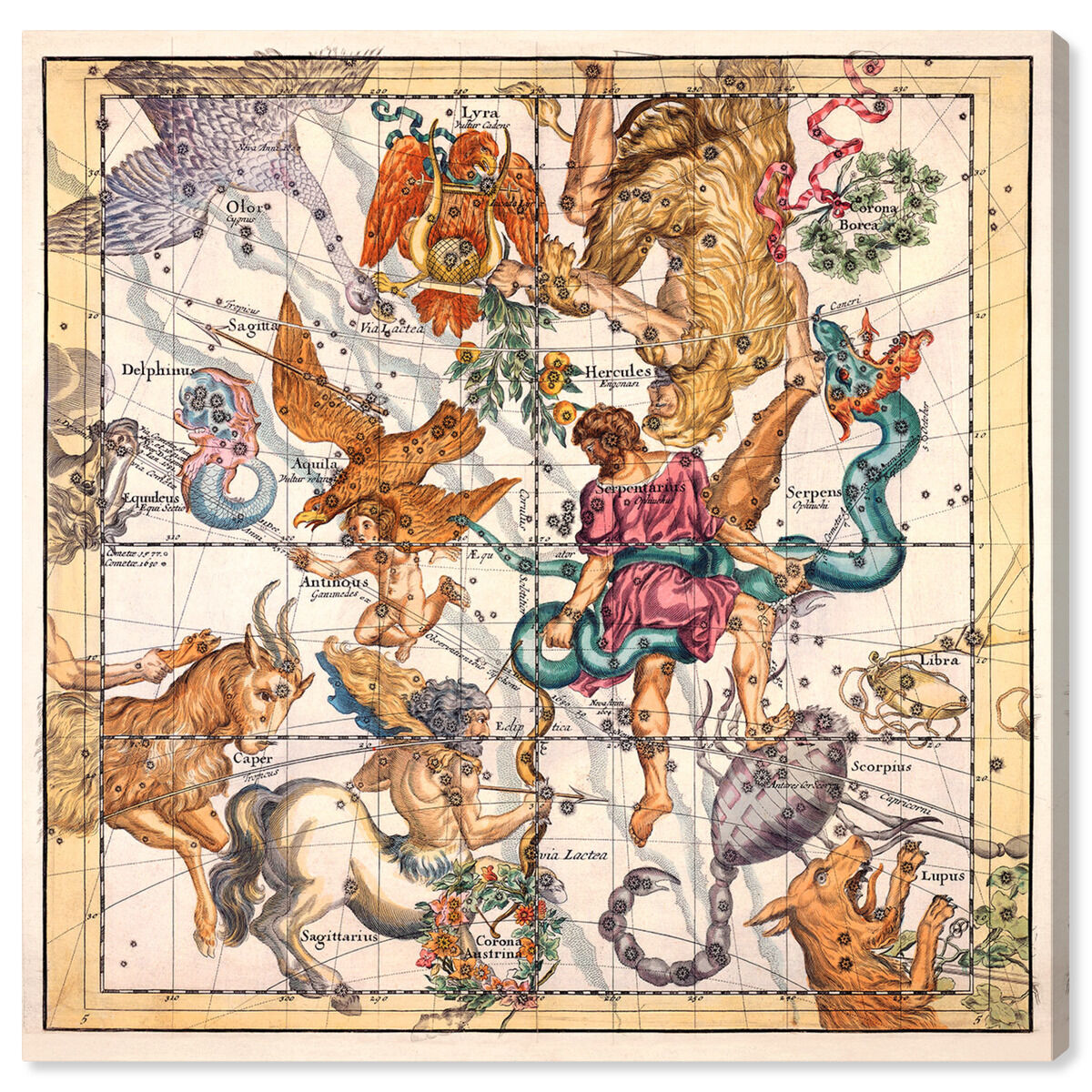 Sagittarius and Scorpius