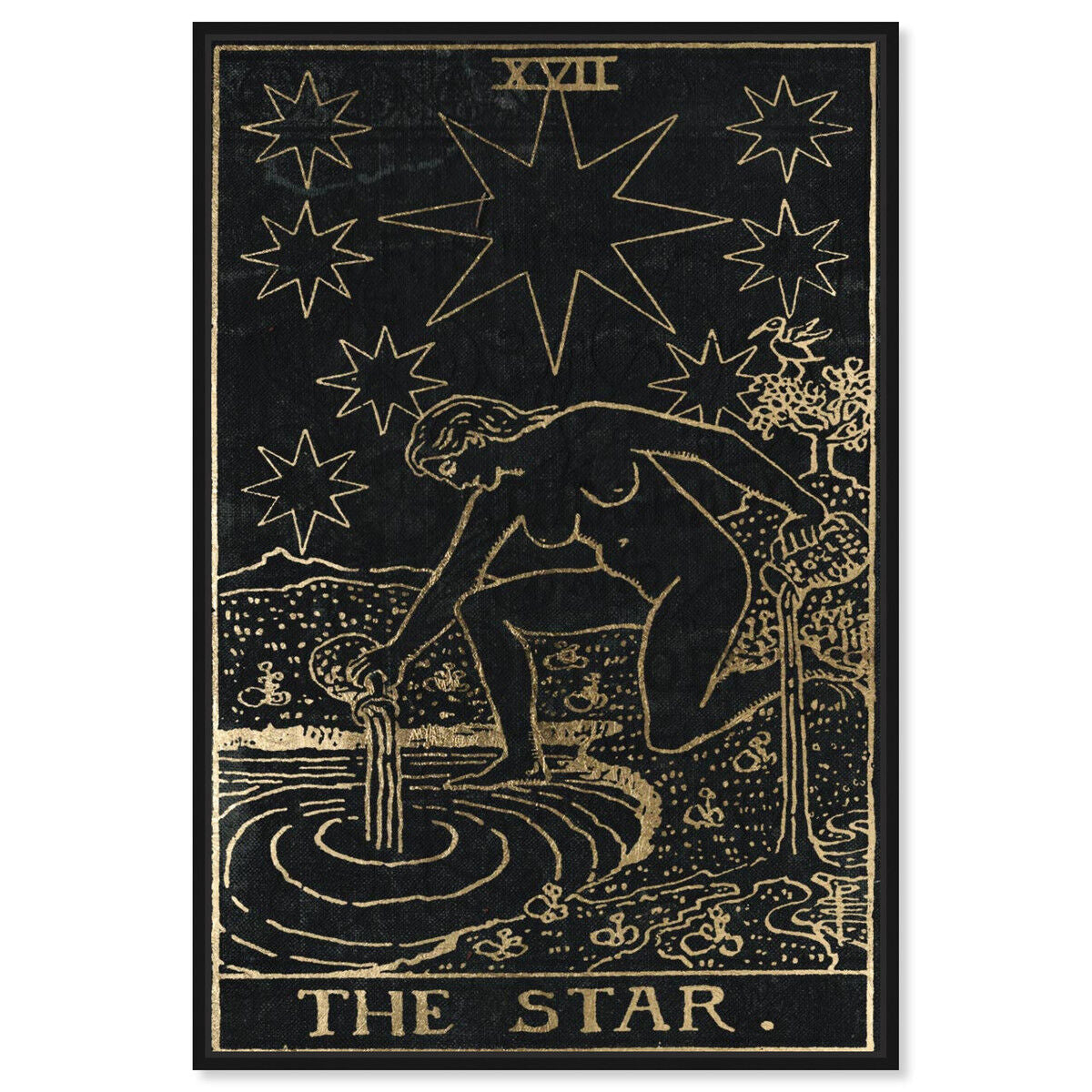 The Star Tarot