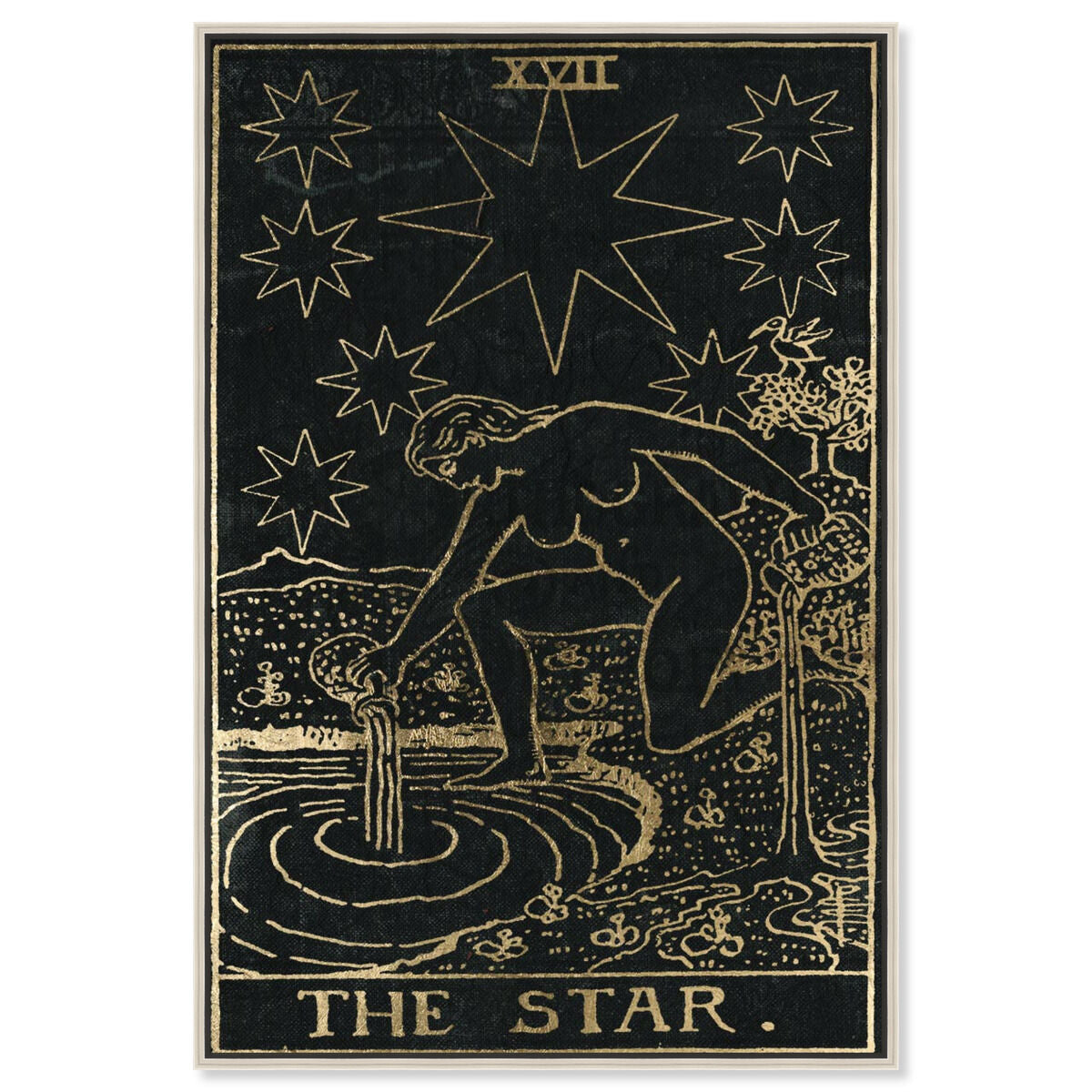 The Star Tarot