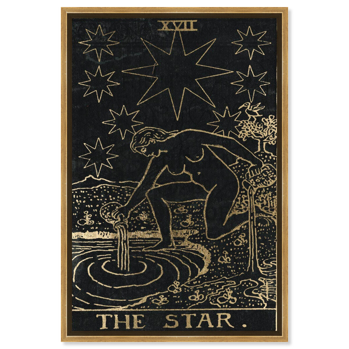 The Star Tarot