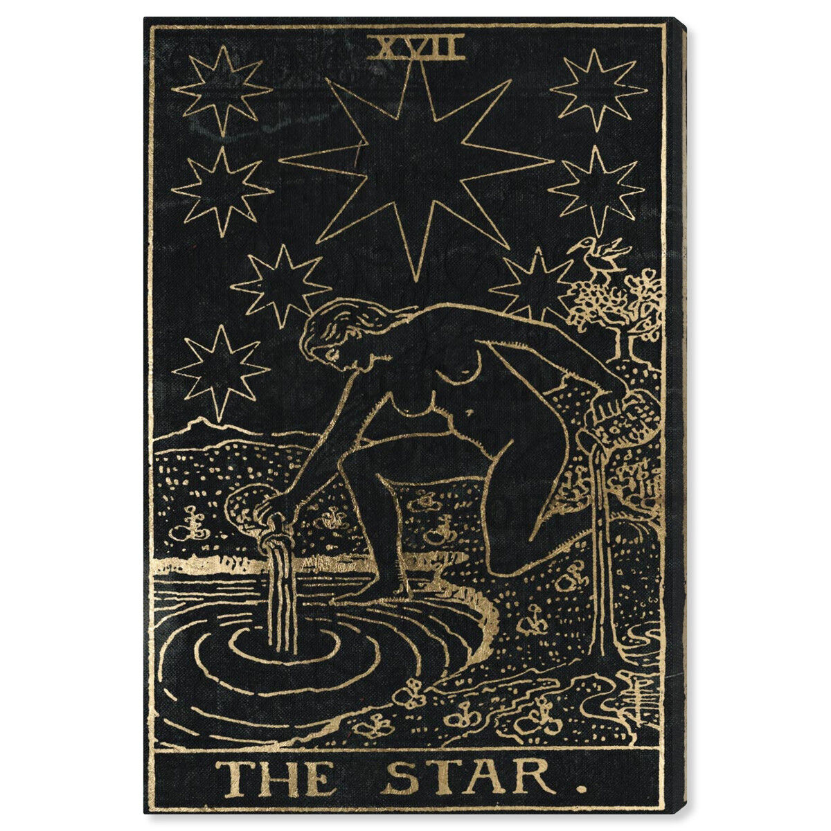 The Star Tarot