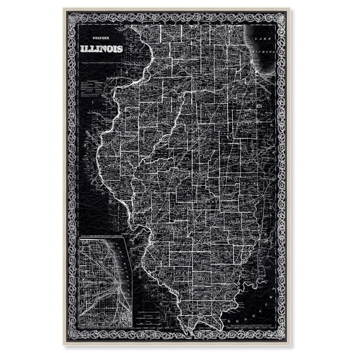 Illinois Map 1869