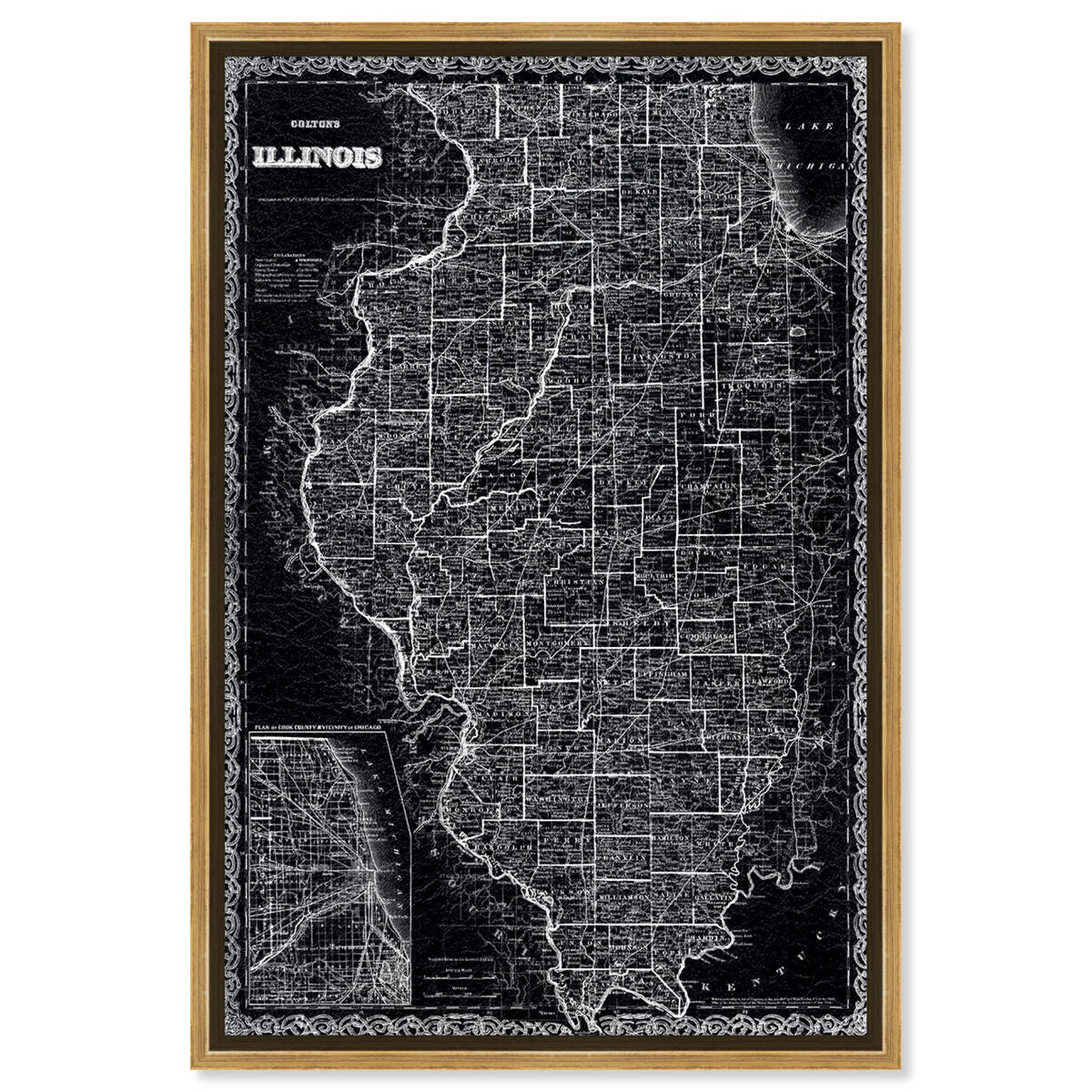 Illinois Map 1869