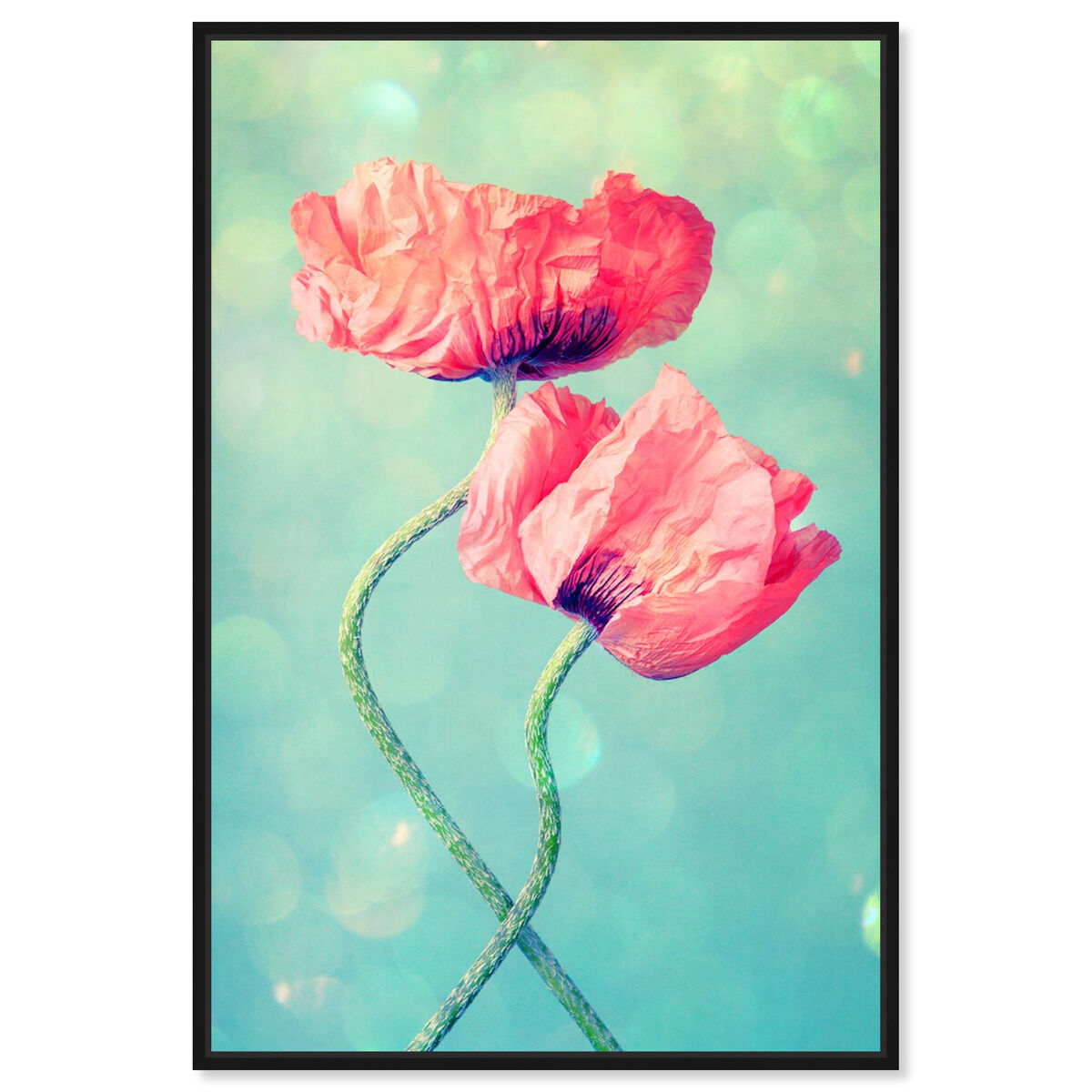 Poppies in Love