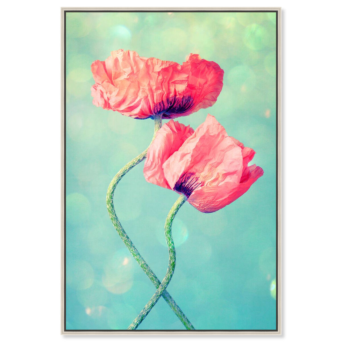 Poppies in Love