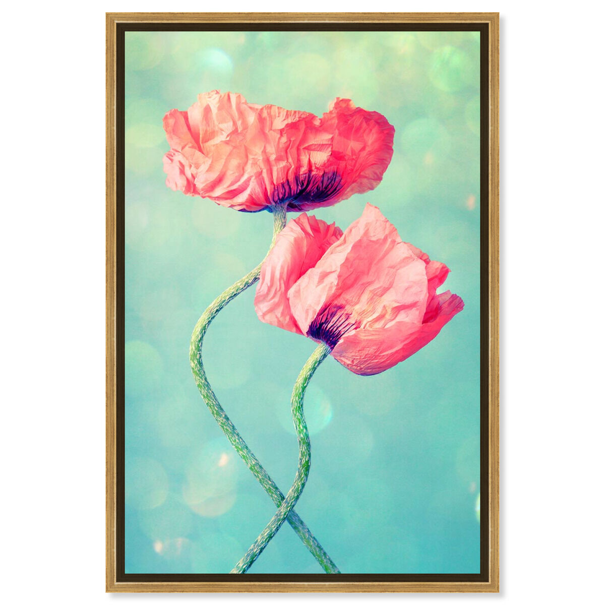 Poppies in Love