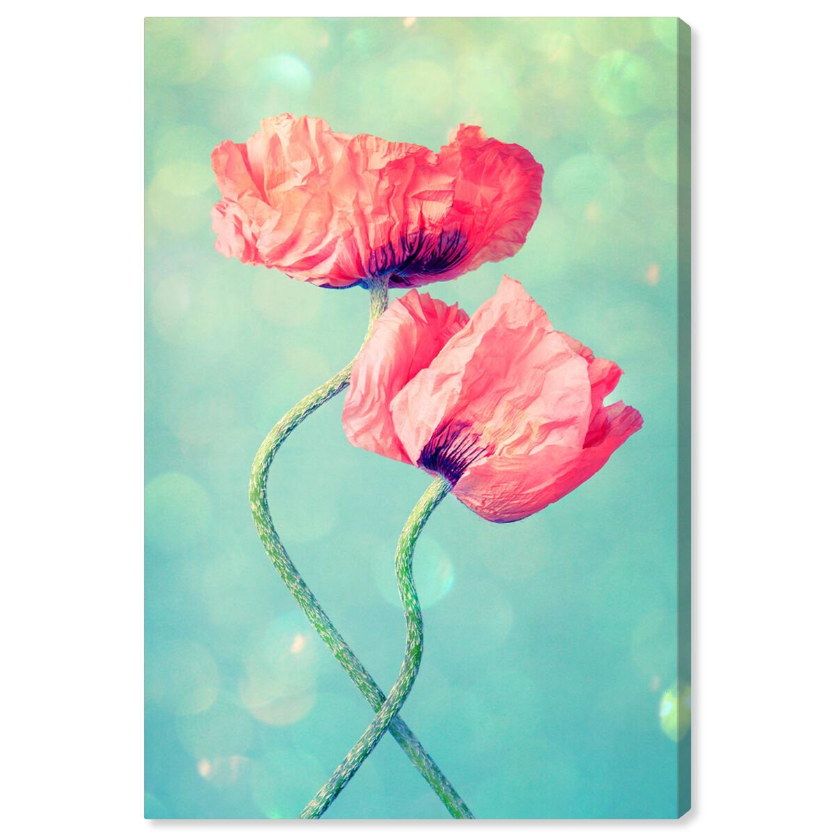 Poppies in Love